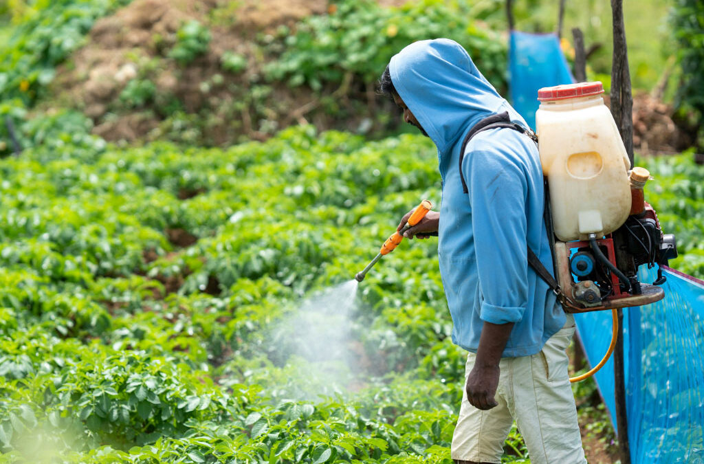 Cultivating safety and protecting health: How moringa-AI benefits agrochemical industry
