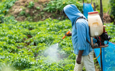 Cultivating safety and protecting health: How moringa-AI benefits agrochemical industry