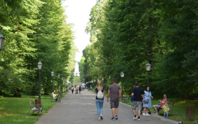 Your health, your city: Understanding your city’s environment with moringa-AI