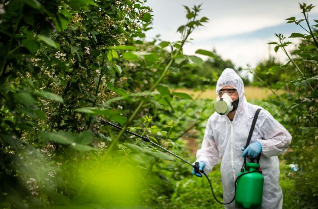 The 2026 Agrochemical Mandate: Balancing High Yields with Zero Harm