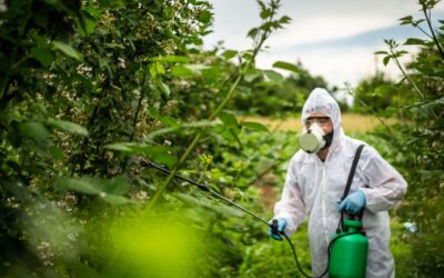The 2026 Agrochemical Mandate: Balancing High Yields with Zero Harm