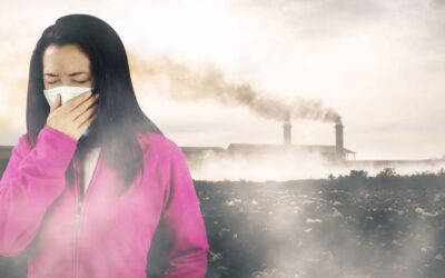 The Rise of the “Bio-Resilient” City: Public Health Governance in 2026