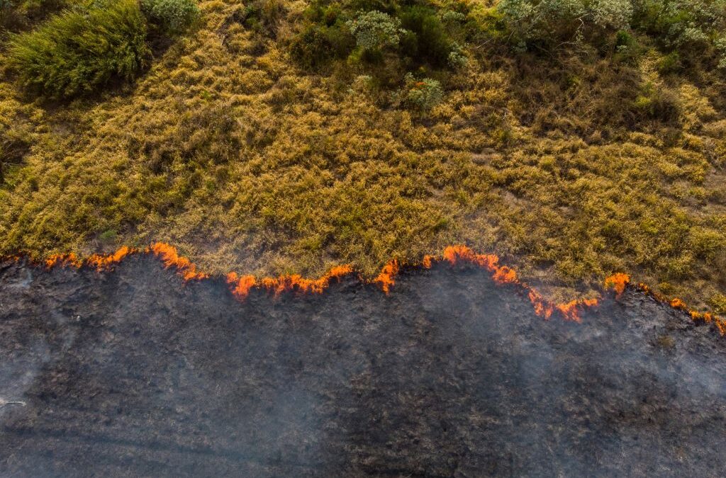 Beyond “React-and-Rescue”: Predicting the Climate-Health Crisis with Agentic AI