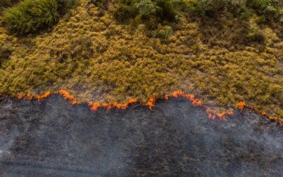 Beyond “React-and-Rescue”: Predicting the Climate-Health Crisis with Agentic AI