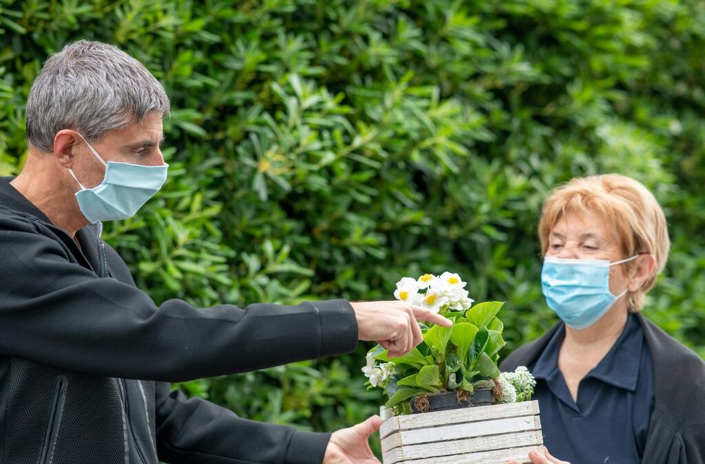 Cultivating Safety and Protecting Health: How moringaAI Benefits Agrochemical Industries