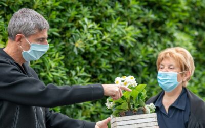 Cultivating Safety and Protecting Health: How moringaAI Benefits Agrochemical Industries