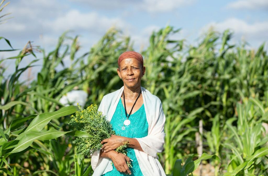Empowering Grassroots Health: How moringaAI Supports Communities and NGOs