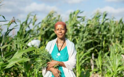 Empowering Grassroots Health: How moringaAI Supports Communities and NGOs