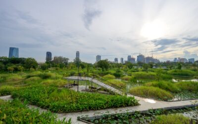 Evidence-Based Urban Planning: Designing Bio-Resilient Cities for Tomorrow
