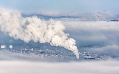 The C-Suite Imperative: Why Climate-Health Intelligence is a Core Business Strategy