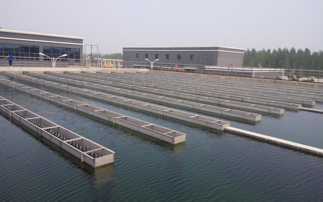 Predicting Waterborne and Vector Threats in Real-Time