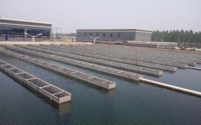 Predicting Waterborne and Vector Threats in Real-Time