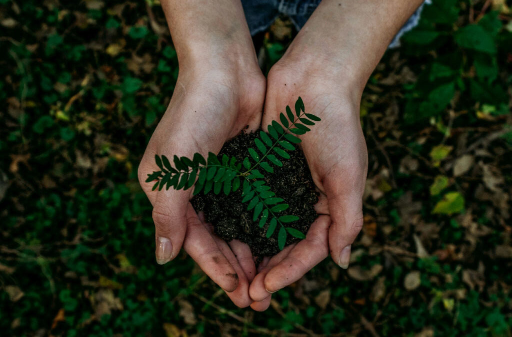 World Environment Day: A Collective Journey Towards a Sustainable Future