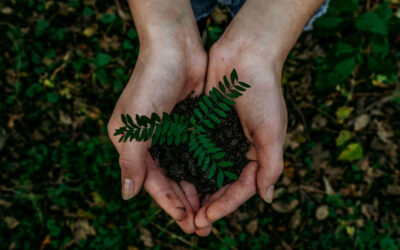 World Environment Day: A Collective Journey Towards a Sustainable Future