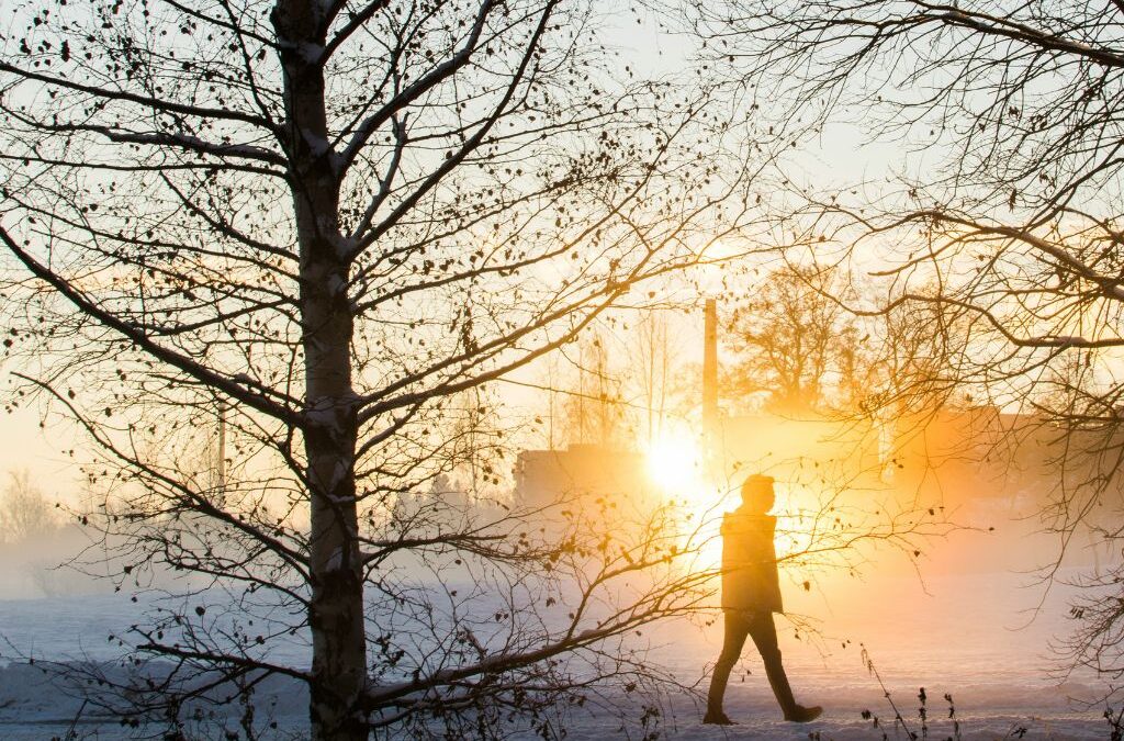 Your Personal Health in a Changing Climate: How moringaAI Empowers You