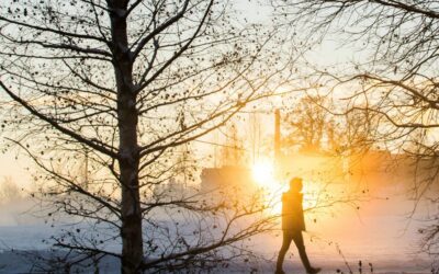 Your Personal Health in a Changing Climate: How moringaAI Empowers You