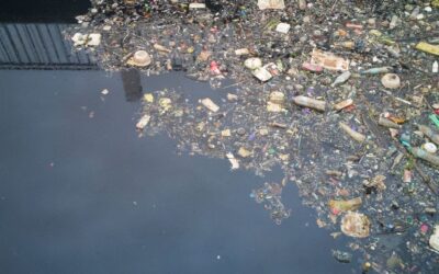 Safeguarding the Source: moringaAI and the Future of Water Security